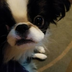 Meet your Posher, Jim